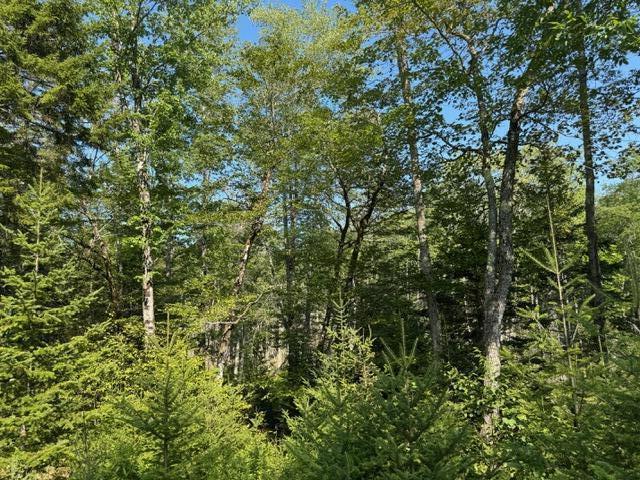 Map4-lot26 Southern Bay Road Penobscot, ME 04476 - Photo 5 of 7 IMG_4313