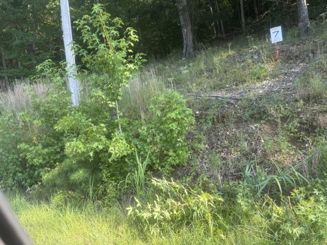 6 Carroll Hollow Road Waynesboro, TN 38485 - Photo 20 of 20 Gallery Image 20