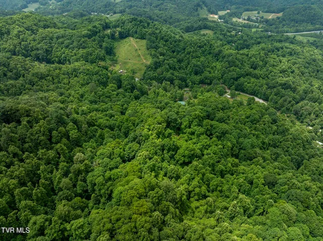 $35,000 | Tbd Whitehead Hollow Road, Roan Mountain, TN 37687