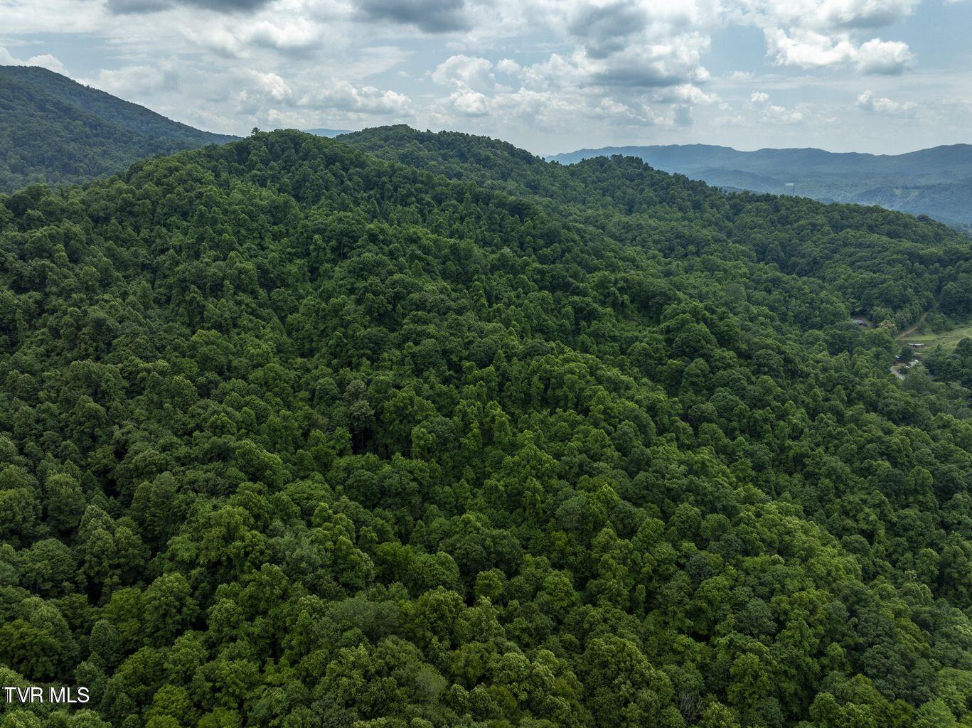 Tbd Whitehead Hollow Road Roan Mountain, TN 37687 - Photo 3 of 7 whitehead 3
