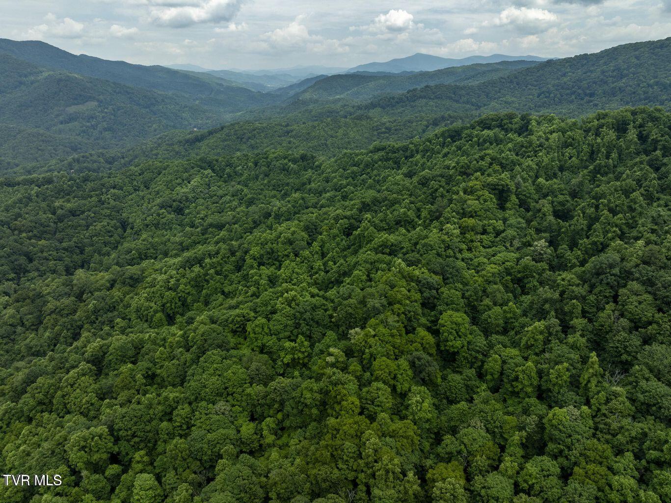 Tbd Whitehead Hollow Road Roan Mountain, TN 37687 - Photo 4 of 7 whitehead 4