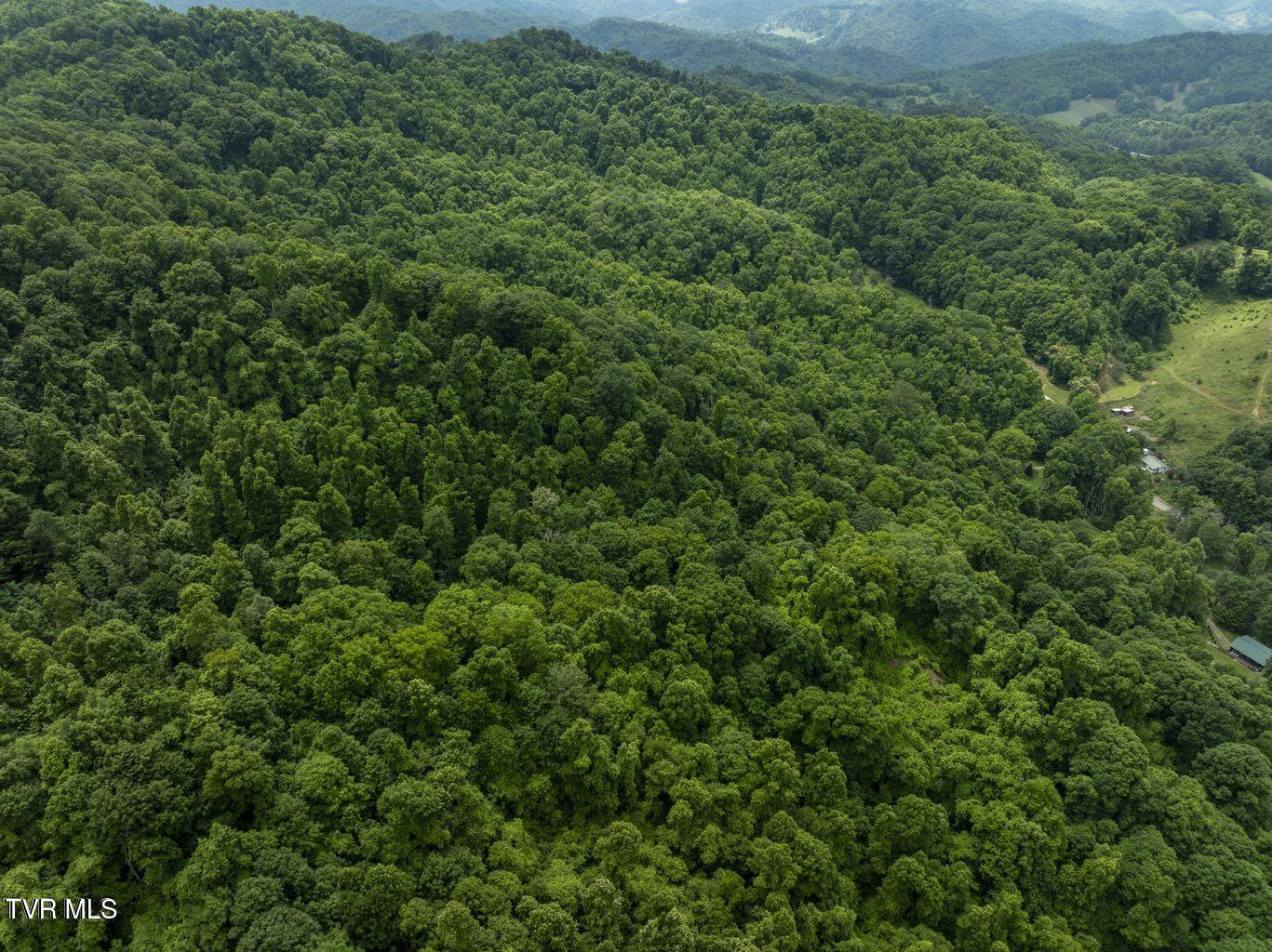 Tbd Whitehead Hollow Road Roan Mountain, TN 37687 - Photo 5 of 7 whitehead 5