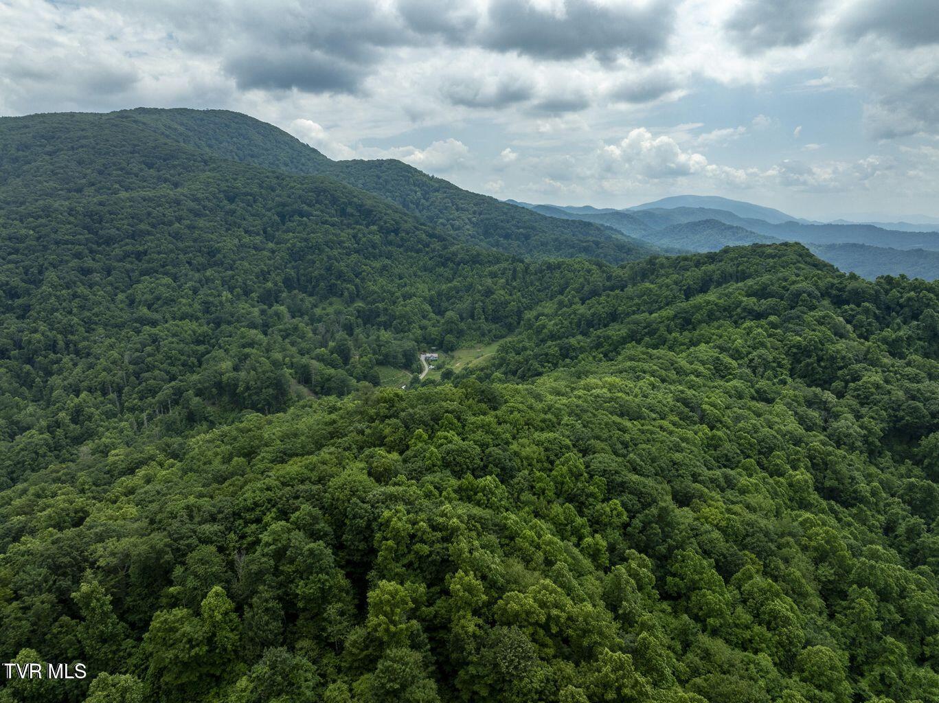Tbd Whitehead Hollow Road Roan Mountain, TN 37687 - Photo 6 of 7 whitehead 6