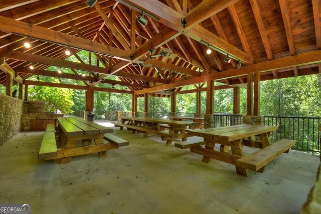 a view of a tree in a yard