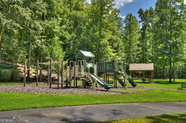 a view of a park with large trees