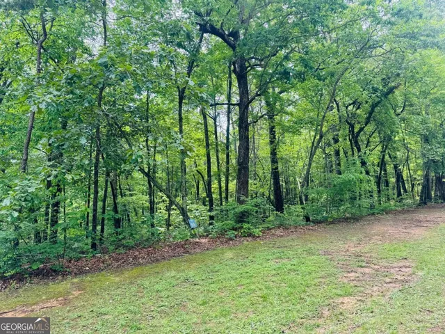 a view of a yard with large trees