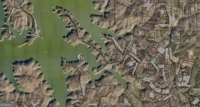 a view of a trees with a yard