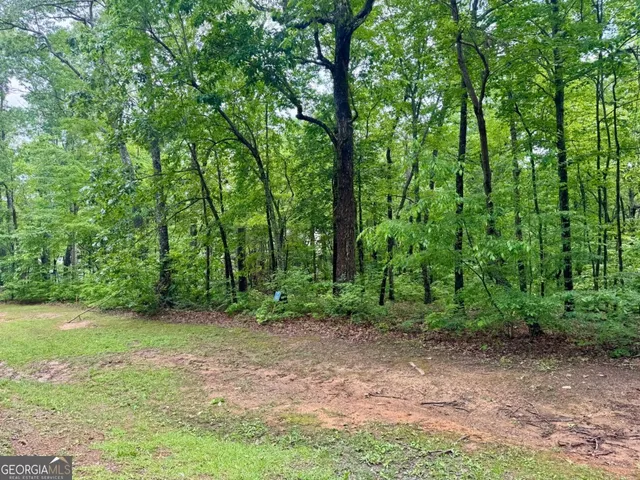 a view of backyard with green space