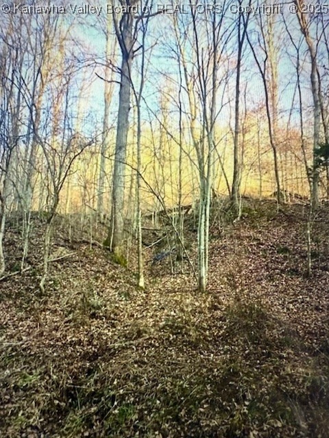 0 Utah Hollow Road Charleston, WV 25312 - Photo 20 of 39 Gallery Image 20