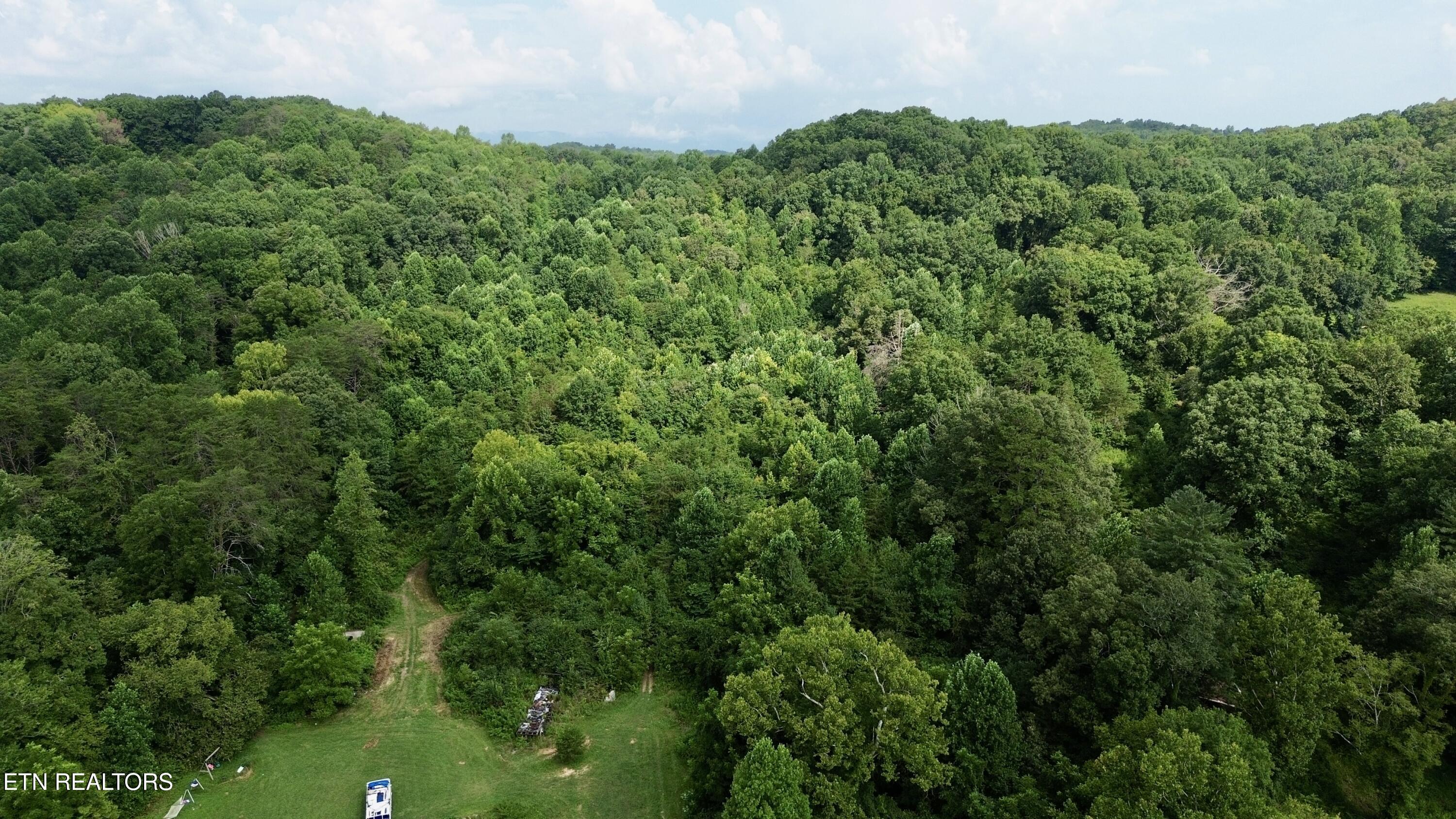 West Raccoon Valley Drive Heiskell, TN 37754 - Photo 4 of 5 2-5