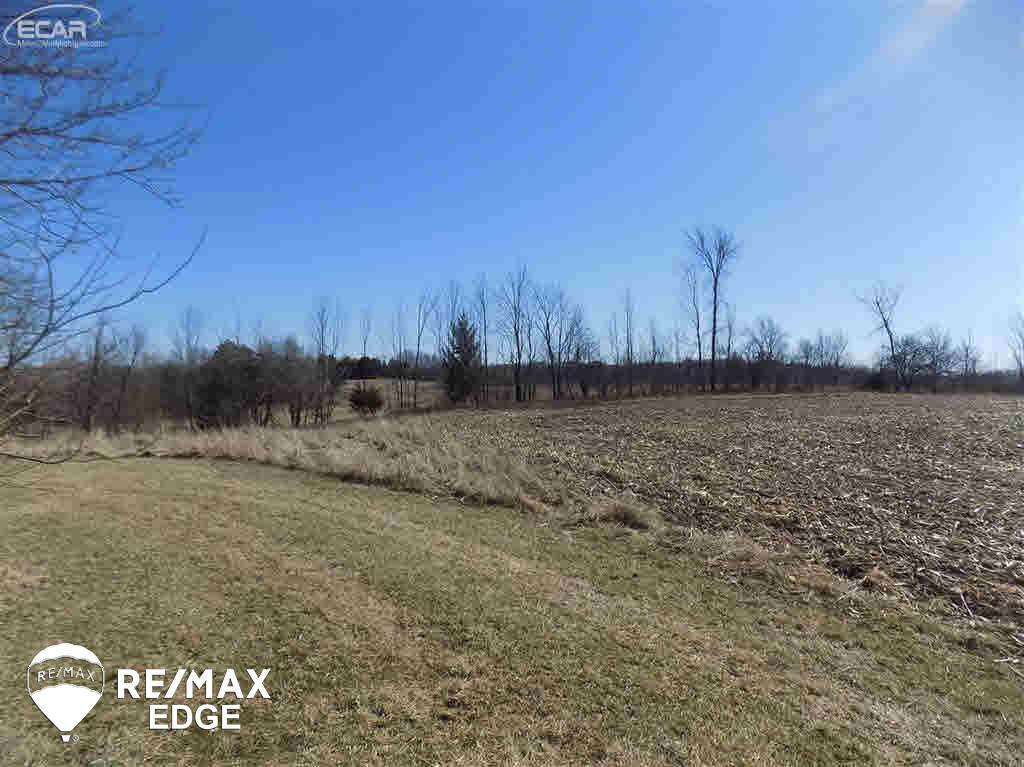 3385 Barnes Road Millington, MI 48746 - Photo 32 of 37