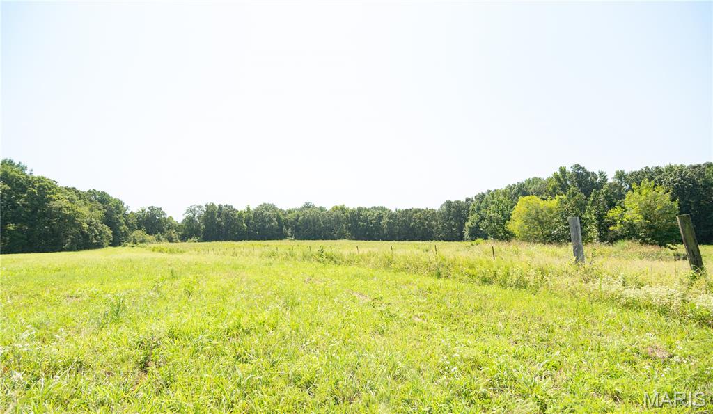 1280 Ripley Route North Doniphan, MO 63935 - Photo 60 of 67
