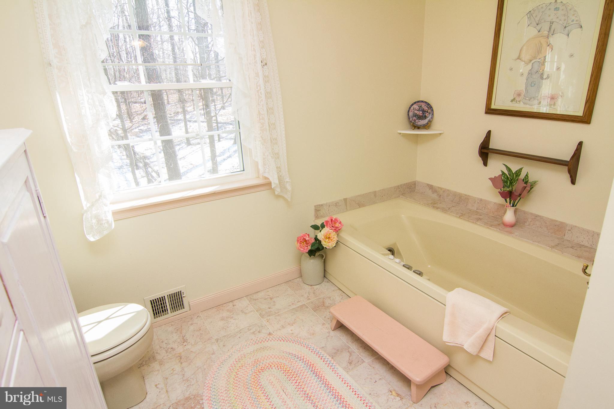 1834 Liberty Road Westminster, MD 21157 - Photo 18 of 30 Bath (Master)