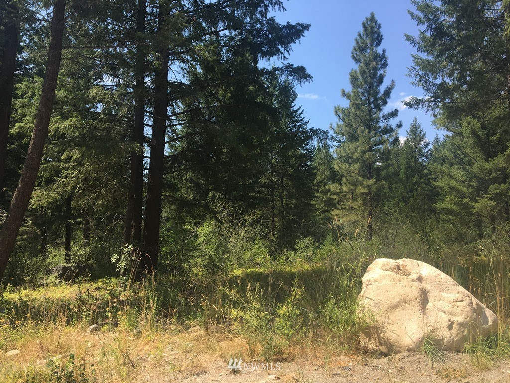 3 Fawn Road Winthrop, WA 98862 - Photo 1 of 16 a view of a lake