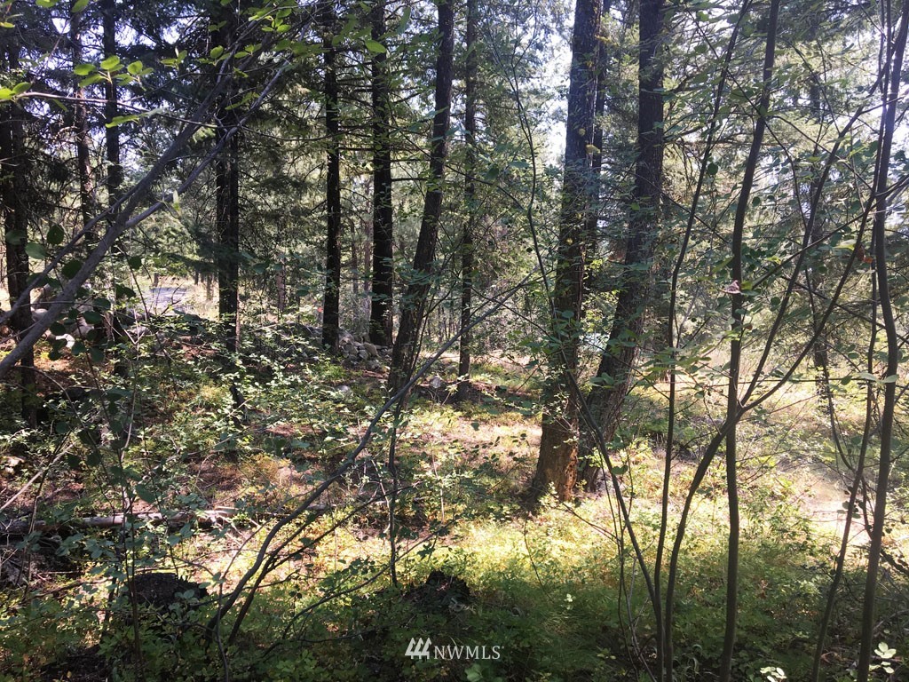 3 Fawn Road Winthrop, WA 98862 - Photo 13 of 16 a view of forest