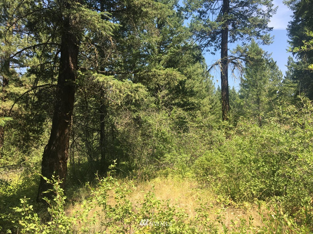 3 Fawn Road Winthrop, WA 98862 - Photo 4 of 16 a view of a yard