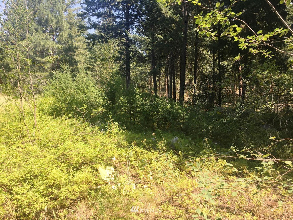 3 Fawn Road Winthrop, WA 98862 - Photo 5 of 16 a view of outdoor space and a yard