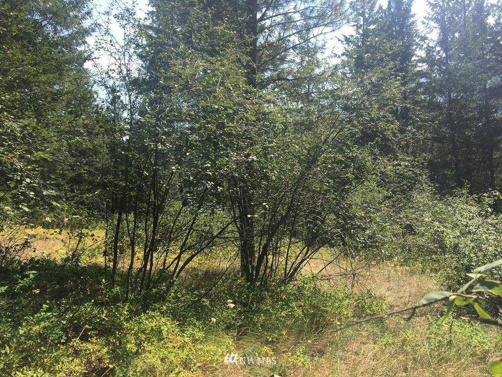 3 Fawn Road Winthrop, WA 98862 - Photo 6 of 16