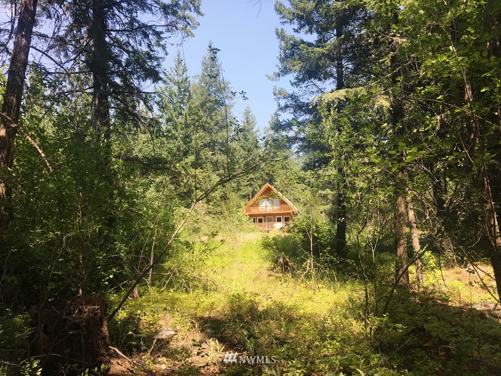 3 Fawn Road Winthrop, WA 98862 - Photo 8 of 16 a yard with a trees all around