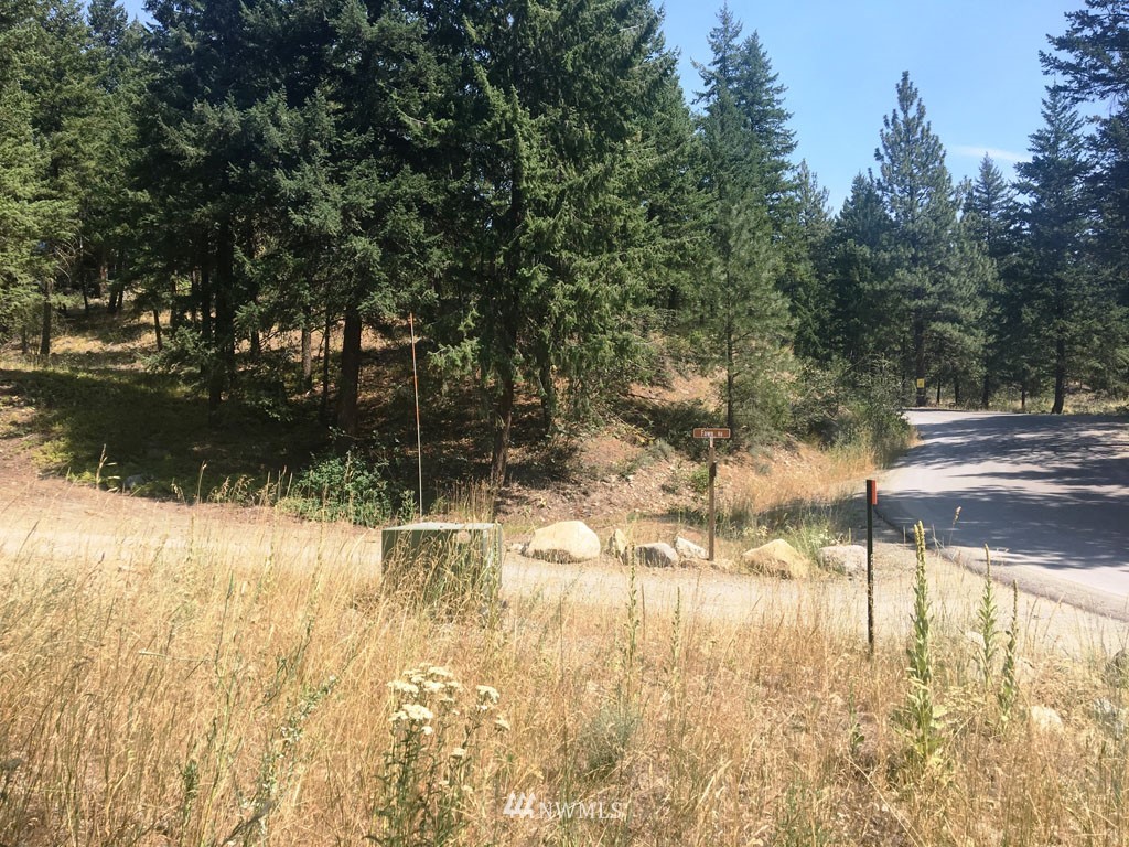 3 Fawn Road Winthrop, WA 98862 - Photo 9 of 16
