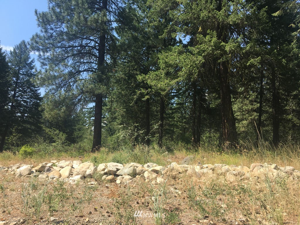3 Fawn Road Winthrop, WA 98862 - Photo 10 of 16 a view of backyard with green space