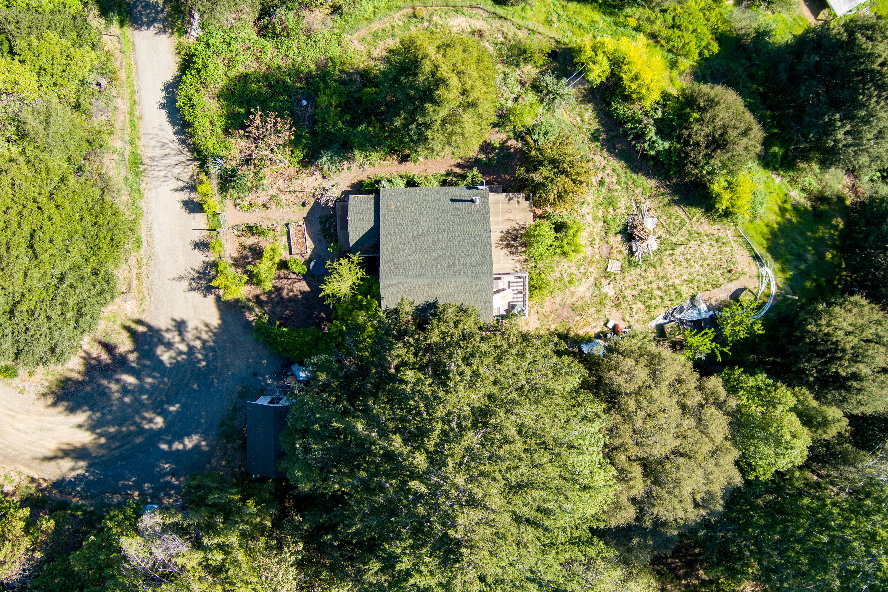 12600 Briceland Road Whitethorn, CA 95589 - Photo 8 of 111