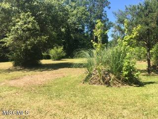 680 Homer Ladner Road Poplarville, MS 39470 - Photo 12 of 13 IMG_1211
