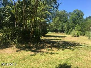 680 Homer Ladner Road Poplarville, MS 39470 - Photo 10 of 13 IMG_1017