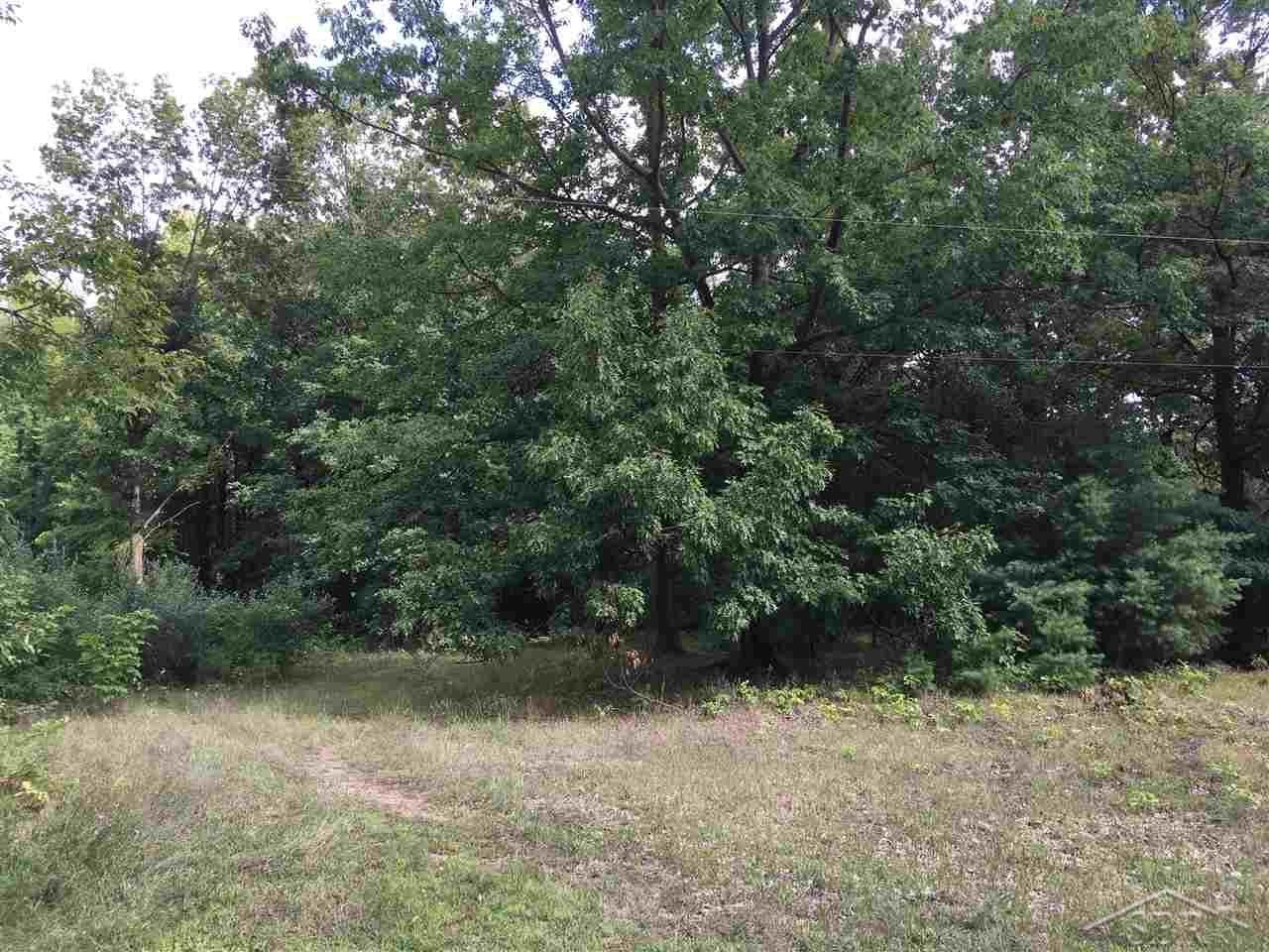 V/l Baumgartner Road St. Charles, MI 48655 - Photo 2 of 3