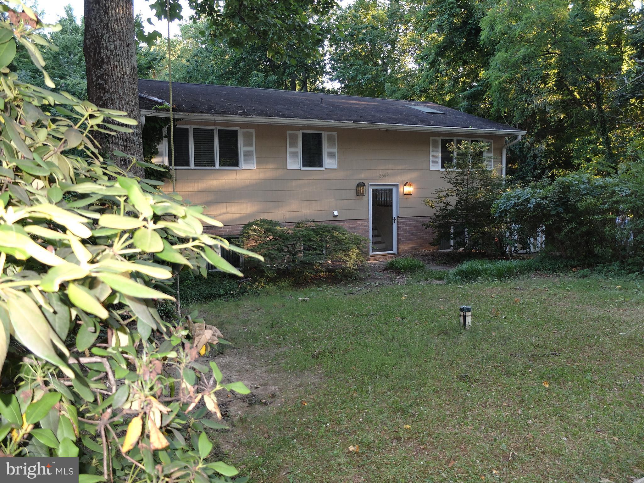 2662 Ogleton Road Annapolis, MD 21403 - Photo 2 of 22 Interesting foliage on lot
