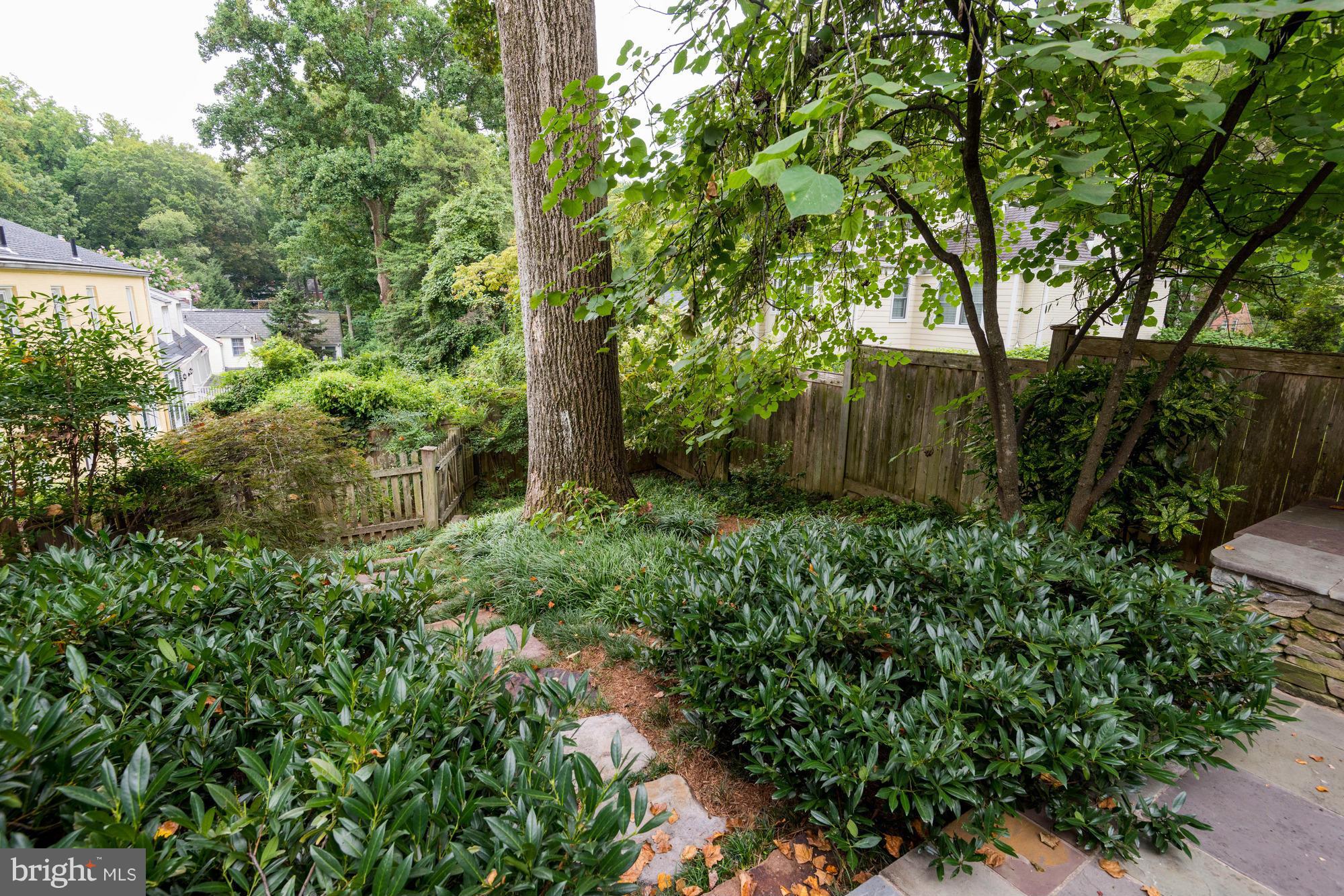 5228 Elliott Road Bethesda, MD 20816 - Photo 28 of 30 Rear garden off patio