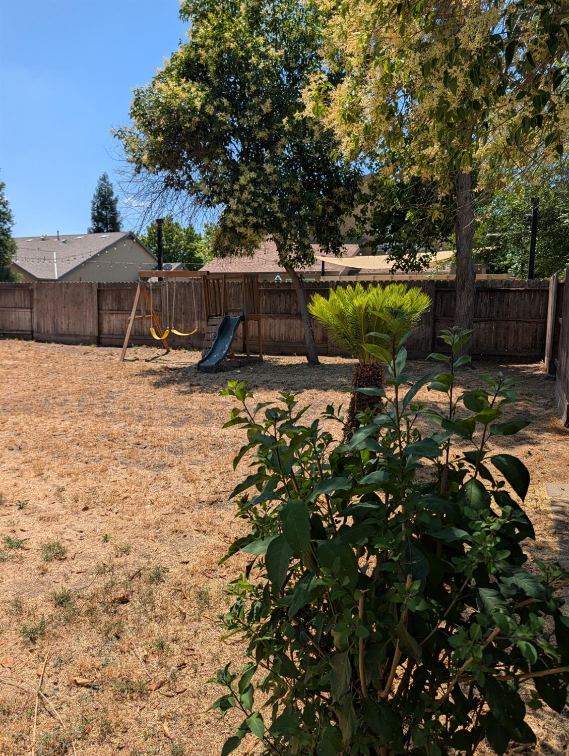 645 Sierra Avenue Reedley, CA 93654 - Photo 20 of 20