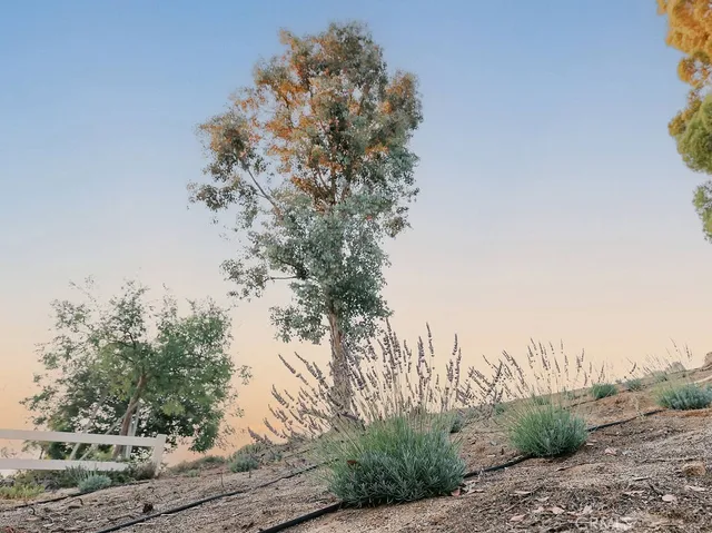 $1,365,000 | 37450 Downey Road, Temecula, CA 92592