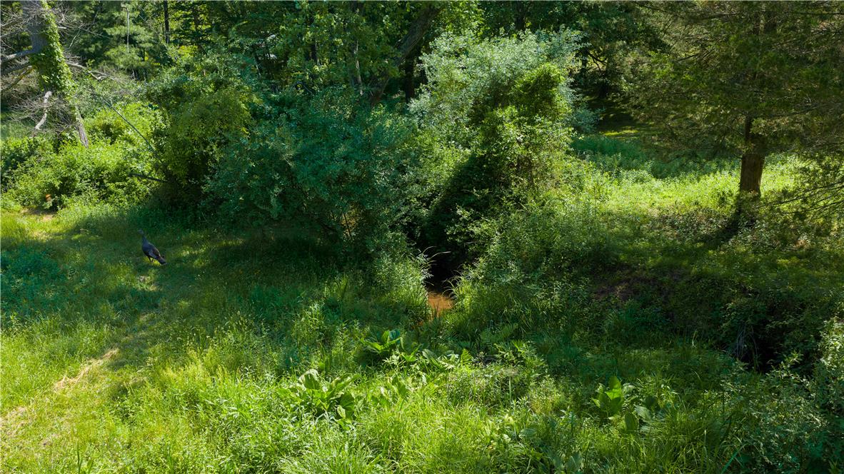 Coldsprings Rd Union Pottstown, PA 19465 - Photo 20 of 71 Discover a tranquil, naturally vegetated expanse with a meandering creek.