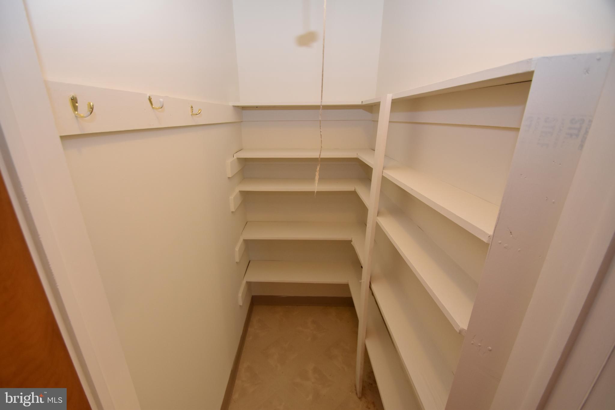 2 Kings Ridge Road Wilmington, DE 19808 - Photo 28 of 78 Kitchen Pantry. (Bigger one downstairs)