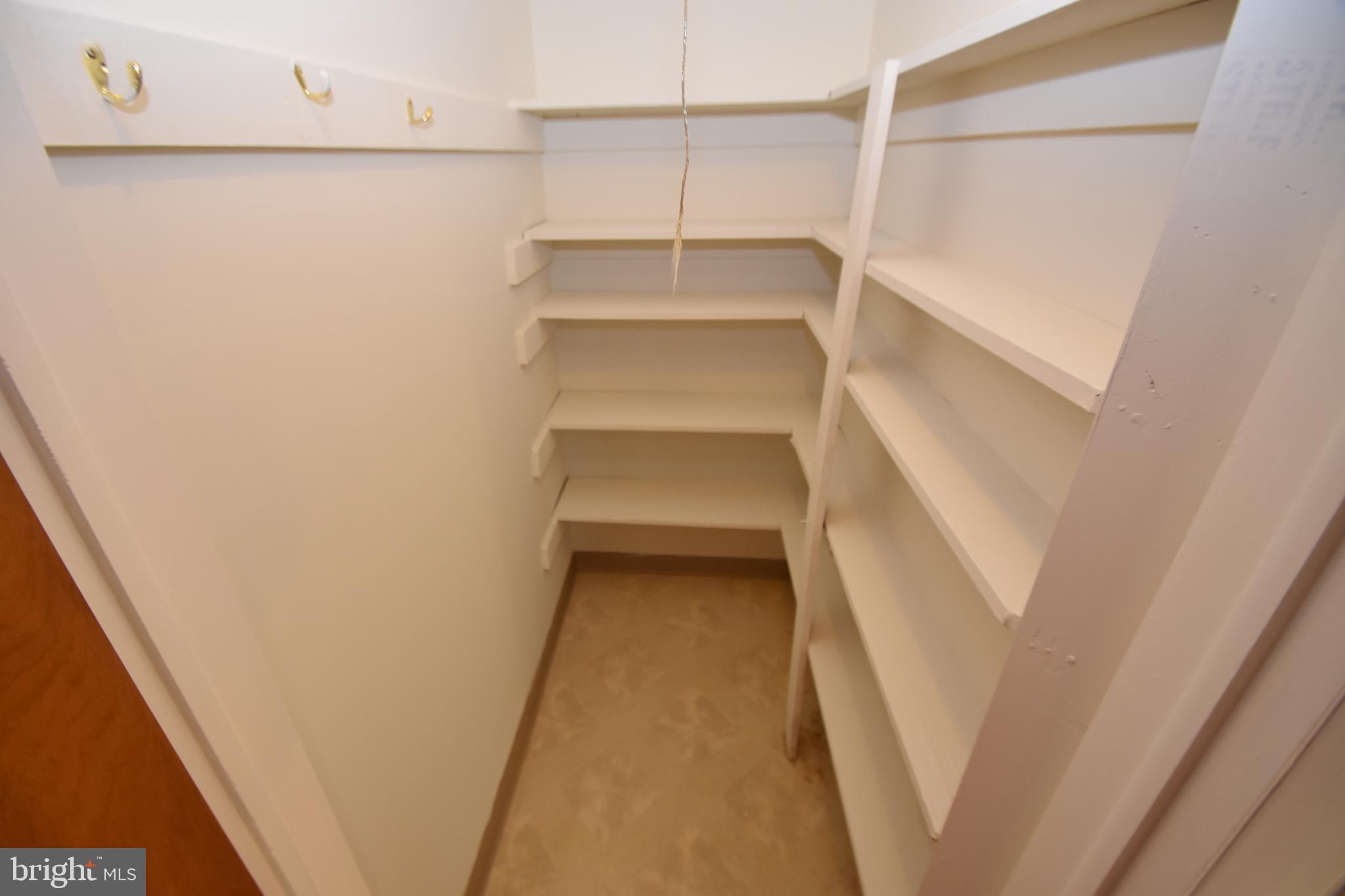 2 Kings Ridge Road Wilmington, DE 19808 - Photo 29 of 78 Kitchen Pantry. (Bigger one downstairs)