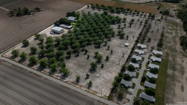 an outdoor view of garden with lots of trees