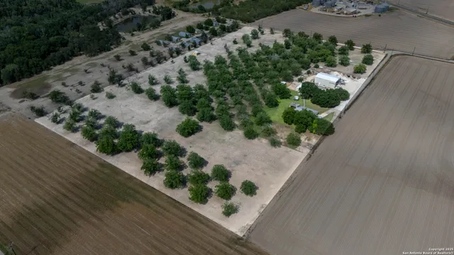 a view of a garden with plants