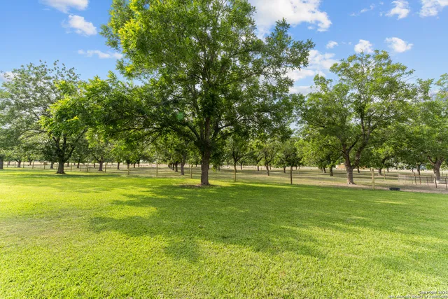 a huge green field with lots of trees