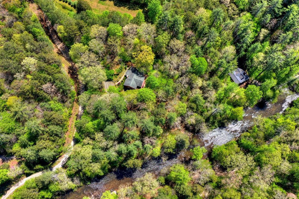 509 Ponderosa Road Ellijay, GA 30540 - Photo 16 of 67