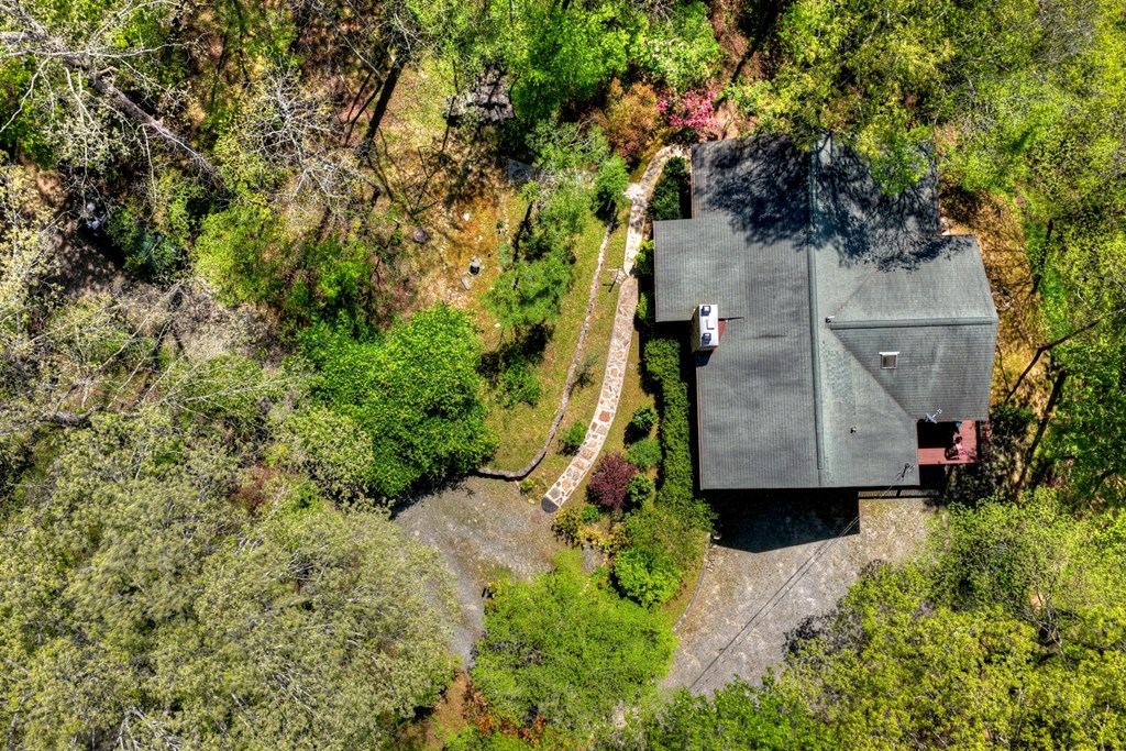 509 Ponderosa Road Ellijay, GA 30540 - Photo 17 of 67