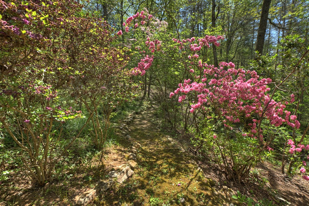 509 Ponderosa Road Ellijay, GA 30540 - Photo 23 of 67