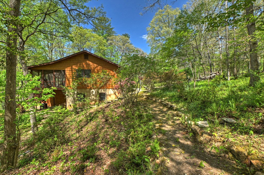 509 Ponderosa Road Ellijay, GA 30540 - Photo 24 of 67