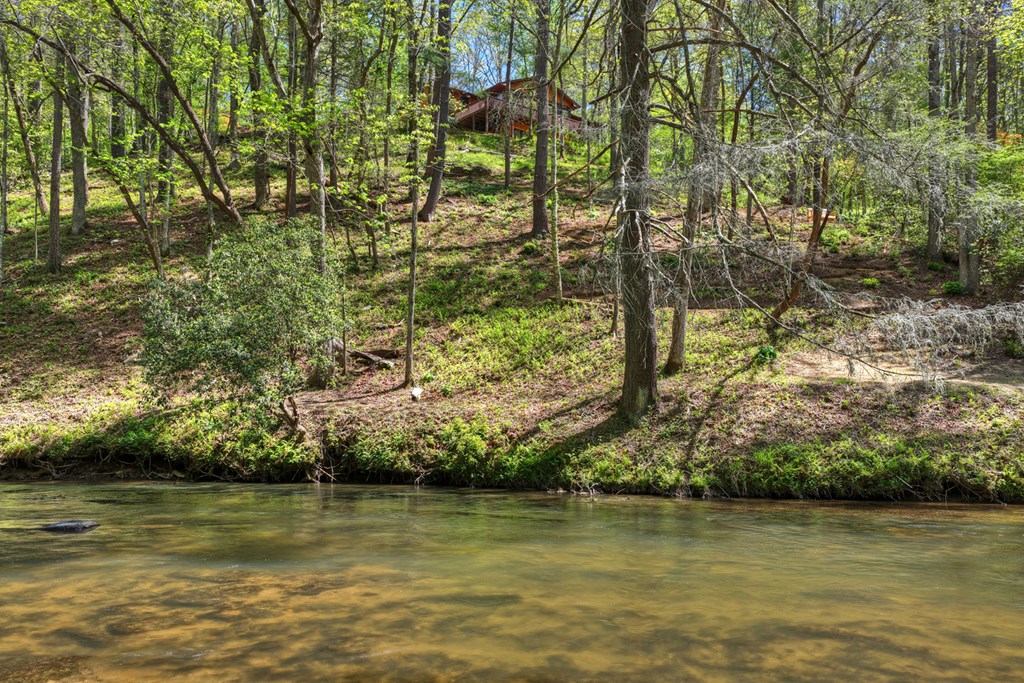 509 Ponderosa Road Ellijay, GA 30540 - Photo 5 of 67