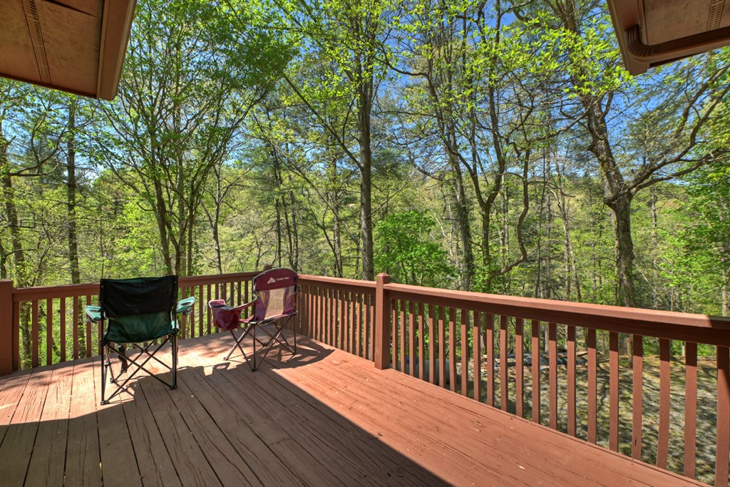 509 Ponderosa Road Ellijay, GA 30540 - Photo 53 of 67