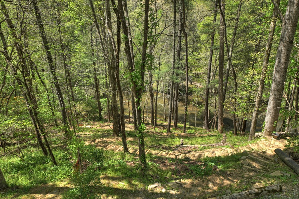 509 Ponderosa Road Ellijay, GA 30540 - Photo 54 of 67