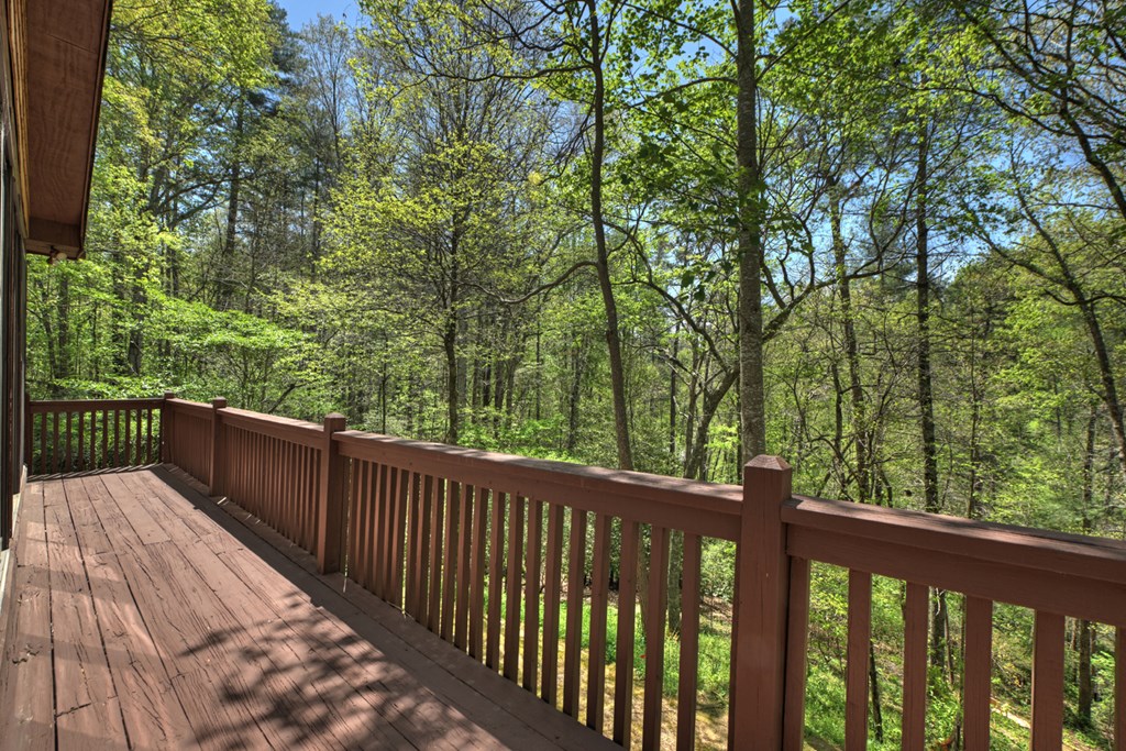 509 Ponderosa Road Ellijay, GA 30540 - Photo 55 of 67