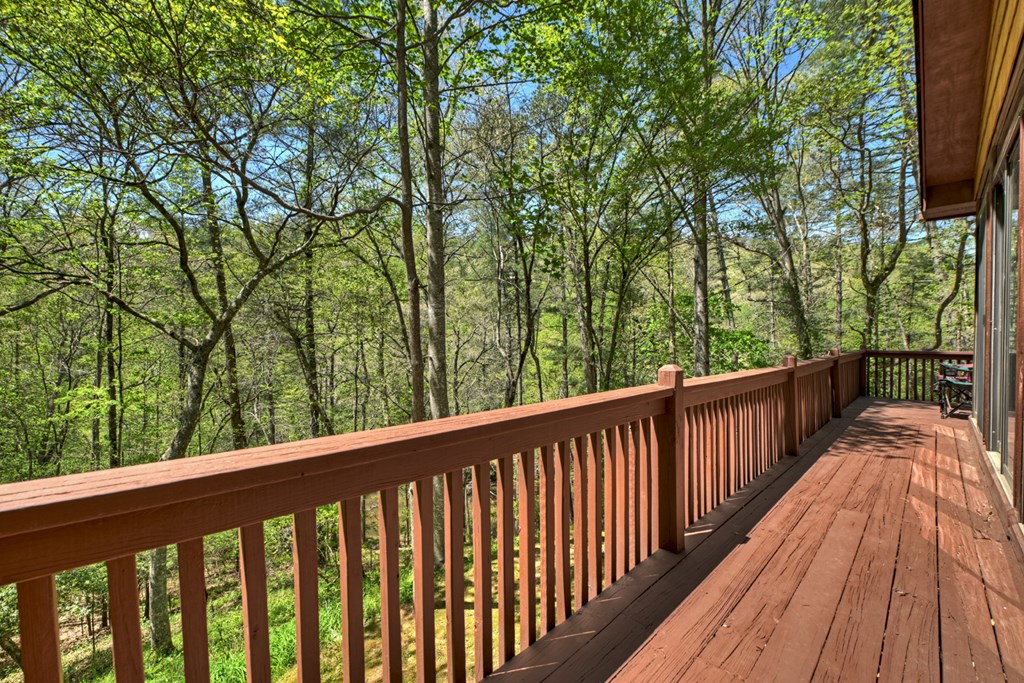 509 Ponderosa Road Ellijay, GA 30540 - Photo 56 of 67