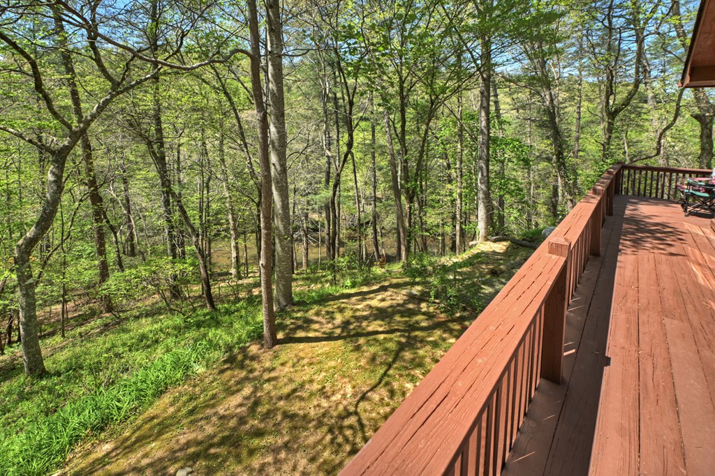 509 Ponderosa Road Ellijay, GA 30540 - Photo 57 of 67