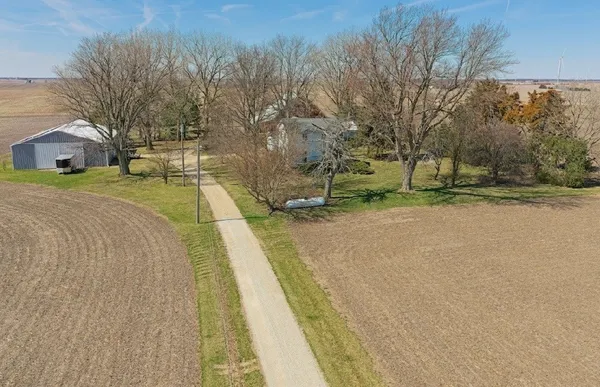 a view of yard with large trees